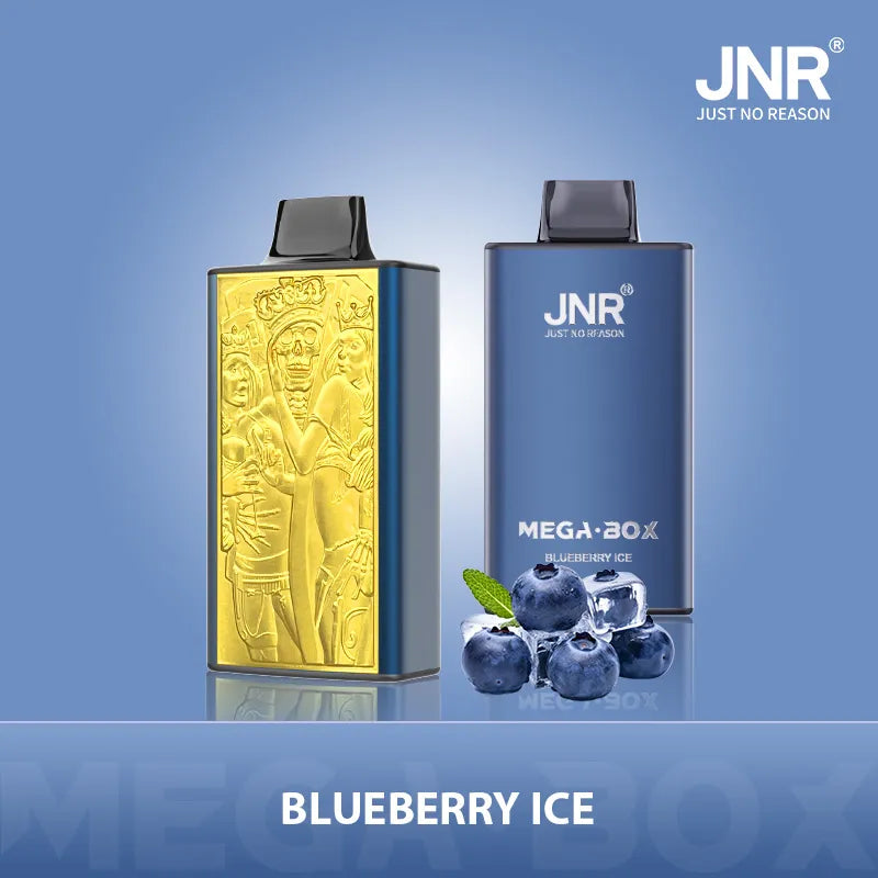 JNR Mega Box 25000 Puffs Original Edition Rechargeable Disposable Vape