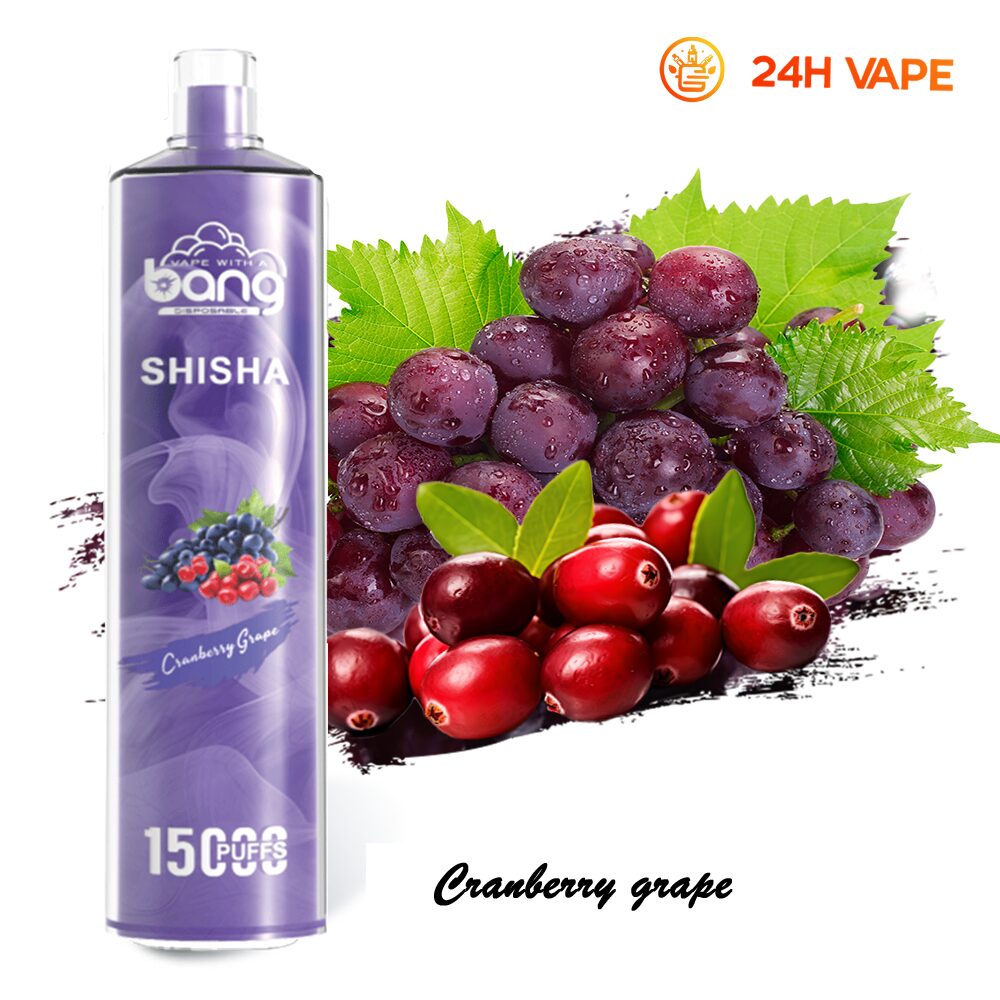Bang SHISHA 15000 Puffs Direct To Lung Disposable Electronic Cigarette New Vape Pen