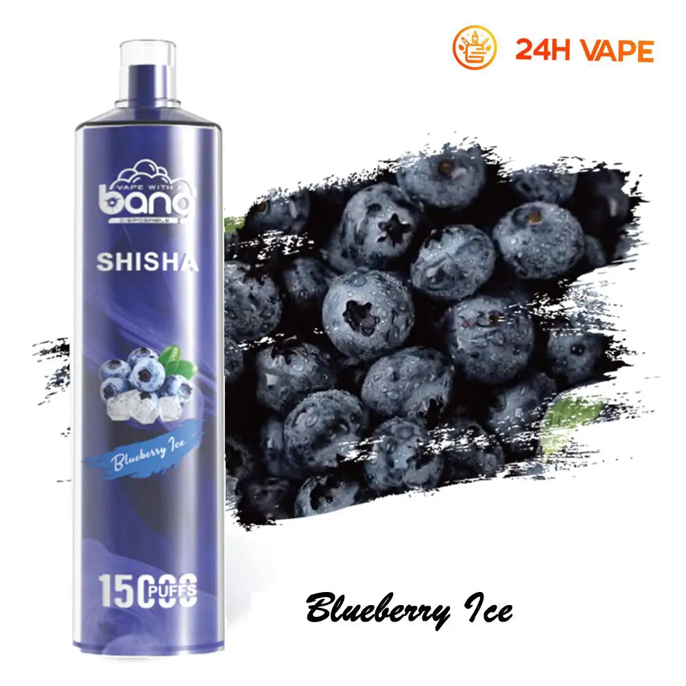 Bang SHISHA 15000 Puffs Direct To Lung Disposable Electronic Cigarette New Vape Pen