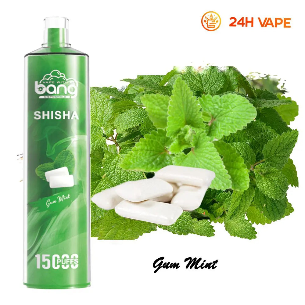 Bang SHISHA 15000 Puffs Direct To Lung Disposable Electronic Cigarette New Vape Pen